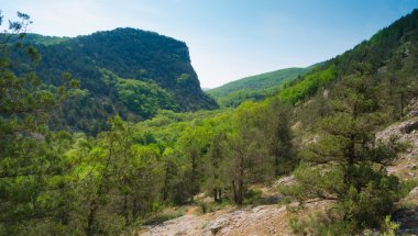 Black river canyon ben manzara