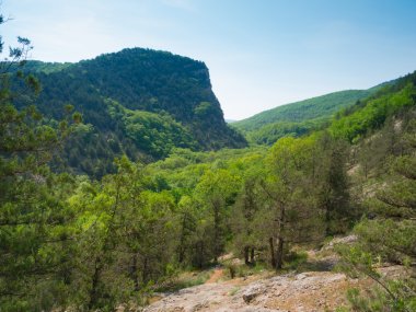 Black river canyon ben manzara