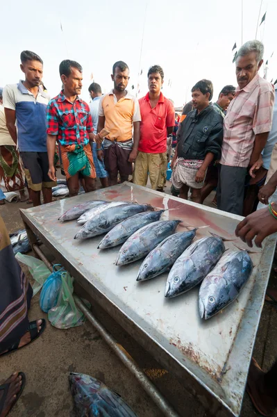 Marché aux poissons à Mirissa — Photo