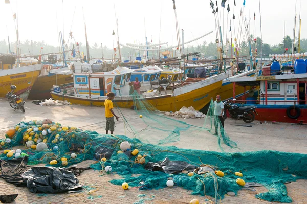 Mirissa에서 생선 시장 — 스톡 사진