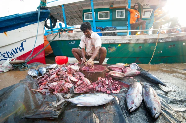 Rybí trh v mirissa — Stock fotografie