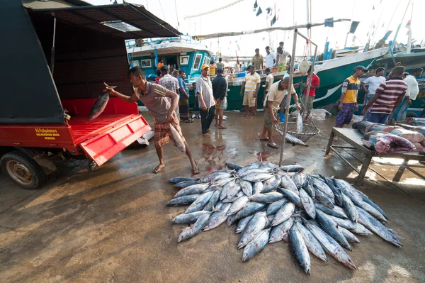 Fish market mirissa — Stok fotoğraf