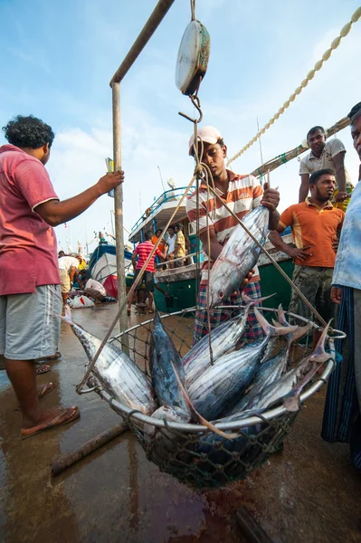 Mercado de pescado en Mirissa — Foto de Stock
