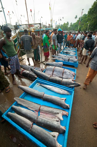 Mercado de pescado en Mirissa — Foto de Stock