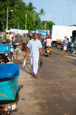 Fish market in Mirissa clipart