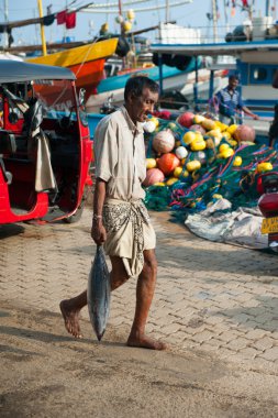 Fish market mirissa