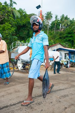 Fish market mirissa