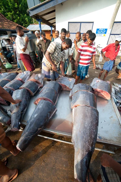 मिरिस मध्ये मासे बाजार — स्टॉक फोटो, इमेज