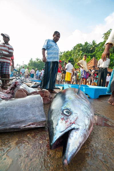 Mercado de pescado en Mirissa —  Fotos de Stock