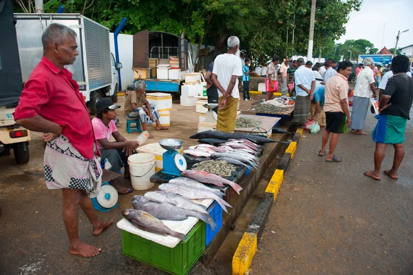 Mercado de pescado en Mirissa — Foto de Stock