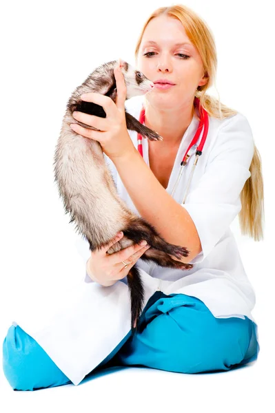 Młody lekarz weterynarii bada pacjenta fretka — Zdjęcie stockowe