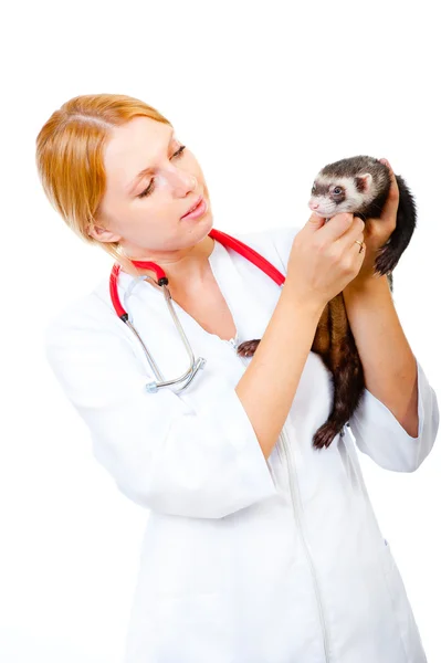 Unga veterinären undersöker en patient iller — Stockfoto