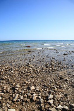 Seashore - Lake Huron clipart