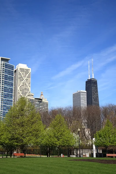 Skyline von Chicago — Stockfoto