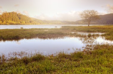 Peaceful lake landscape in Azores, Portugal clipart