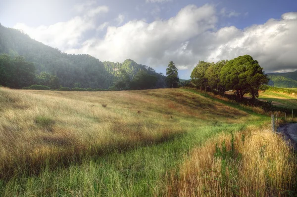 Paesaggio rurale tranquillo nelle Azzorre, Portogallo — Foto Stock