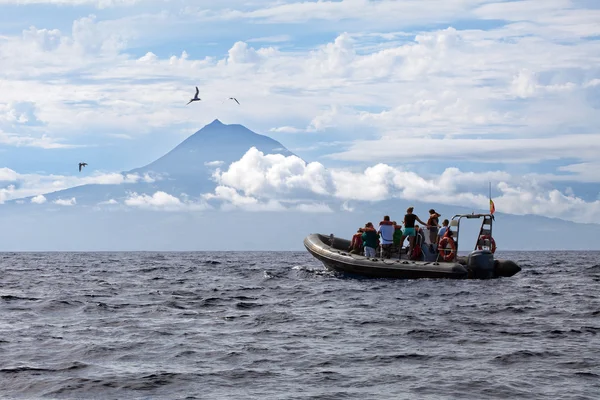 Barco à vela perto da ilha do vulcão do Pico nos Açores — Fotografia de Stock