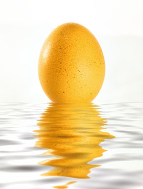 su yansıması ile bir yumurta