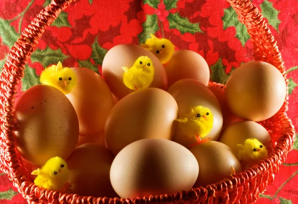 Ostern: kleine gelbe Hühner und einfache Eier — Stockfoto