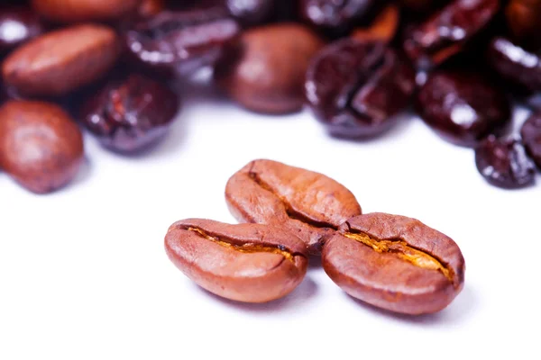 白以上のコーヒー豆 — ストック写真