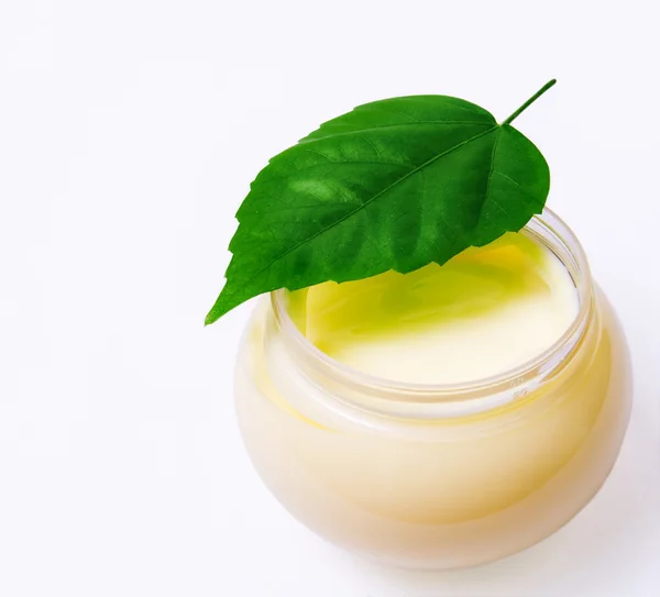Fresh green leaf and beauty cream isolated — Stock Photo, Image