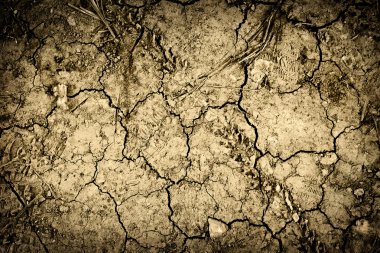 Textured background of cracked dry earth clipart