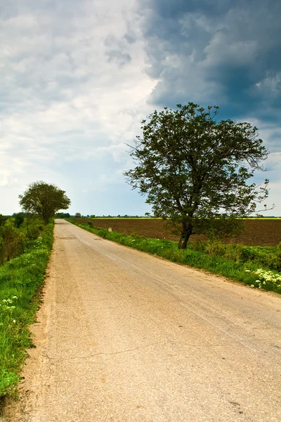 Estrada rural e céu dramático nublado — Fotografia de Stock
