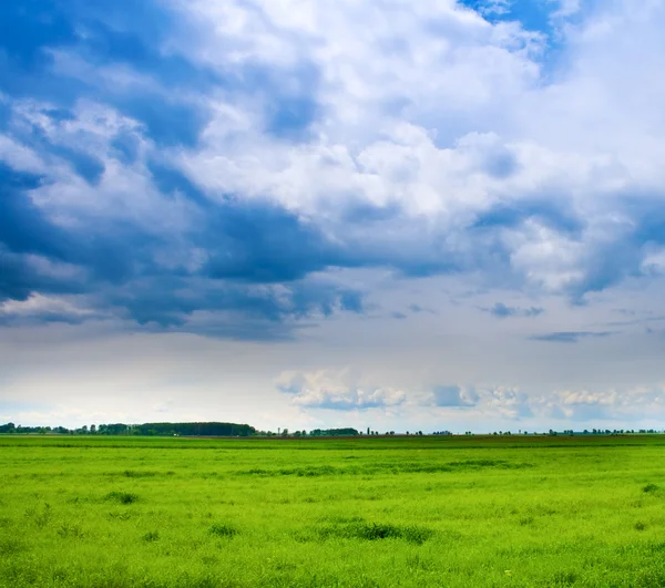 Fundo do céu nublado e grama verde fresca — Fotografia de Stock