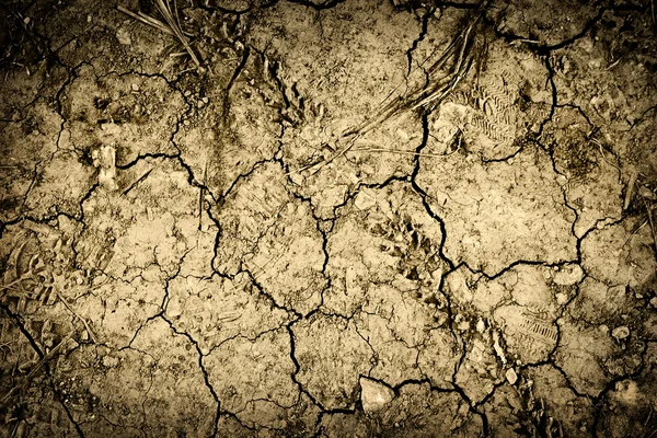 Textured background of cracked dry earth — Stock Photo, Image