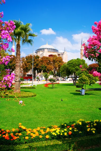 stock image Exterior view of Hagia Sophia Mosque, Istanbul