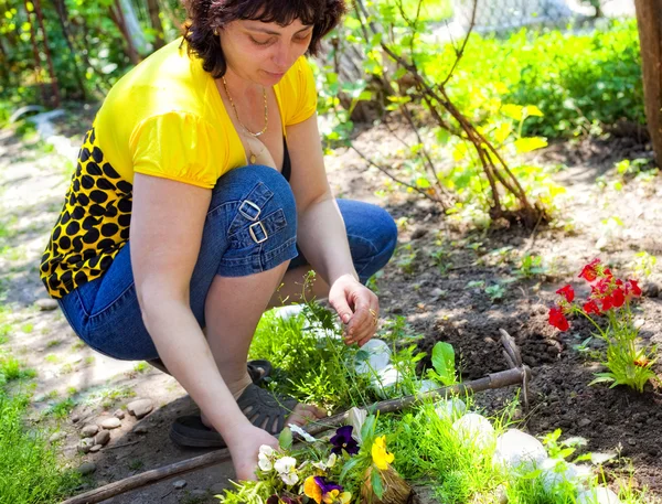 stock image Gardening - mature woman planting flowers