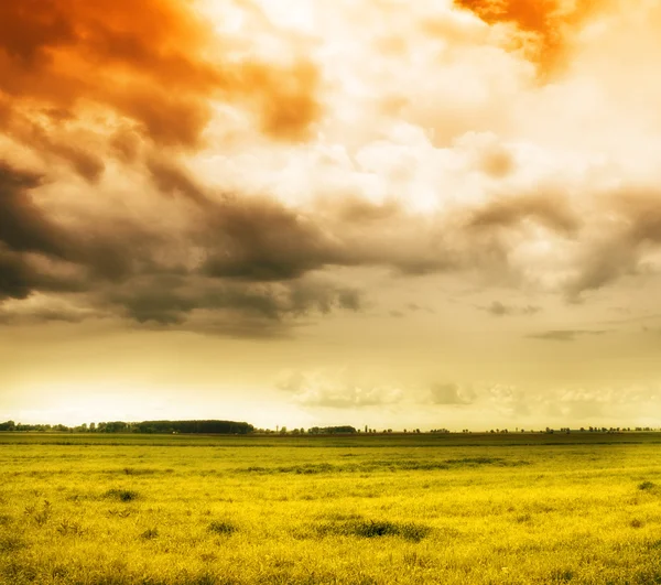 Natuur achtergrond - kleurrijke hemel en grasveld — Stockfoto