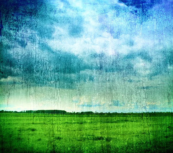 Grungy nature backdrop - grass and cloudy sky — Stock Photo, Image