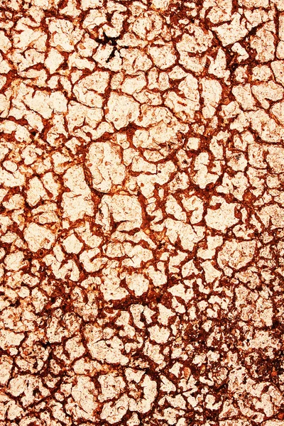 stock image Backdrop of cracks on textured pavement