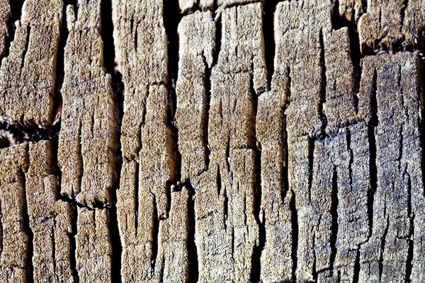 Drewno i pęknięcia — Zdjęcie stockowe