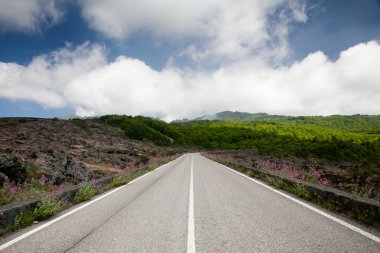 yol mavi gökyüzü bulutlar ve yeşil peyzaj