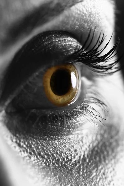 Μακροεντολή στο ανθρώπινο μάτι — Φωτογραφία Αρχείου