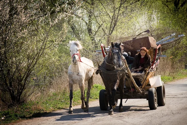 Carruagem cigana na estrada — Fotografia de Stock