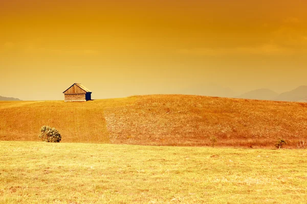 Paisagem rural com céu dourado e grama — Fotografia de Stock