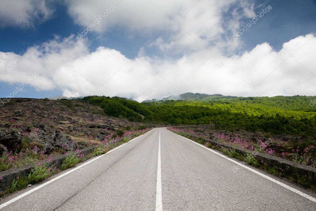 Road blue sky with clouds and green landscape