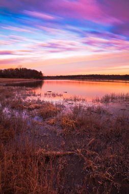 Pastel Sunrise at Lake Jacomo in Blue Springs, Missouri clipart