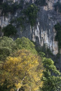 Batu mağara Malezya