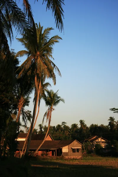 stock image Country side of Asia.