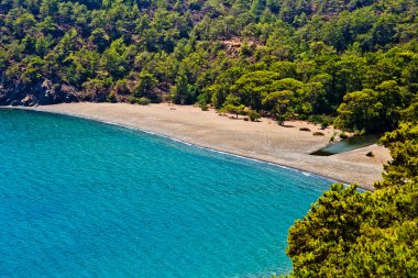 Türk bay