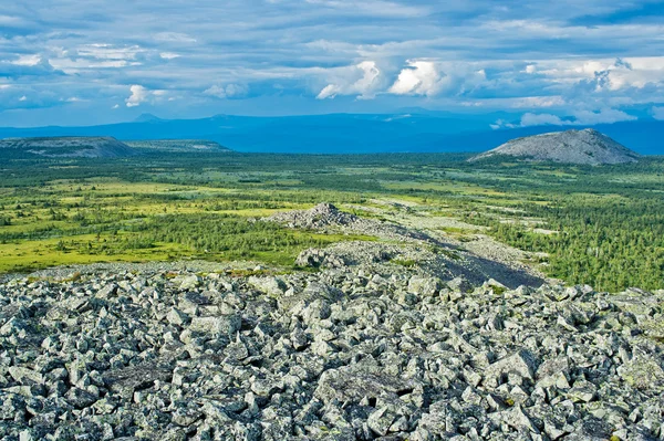 Tundra — Zdjęcie stockowe