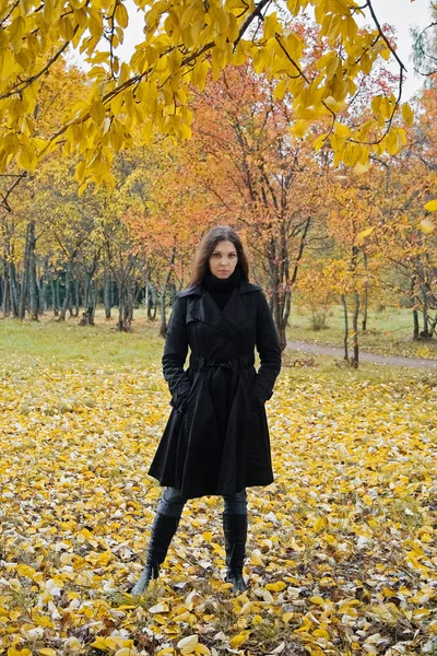 stock image Woman in autumn park