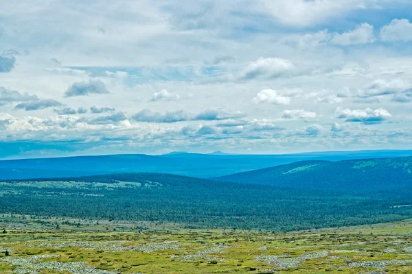 Tundra. — Fotografia de Stock