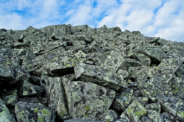 stock image Lichen rocks