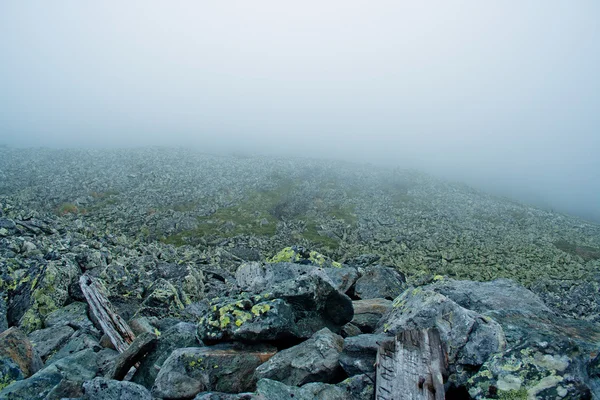 stock image Lichen rocks