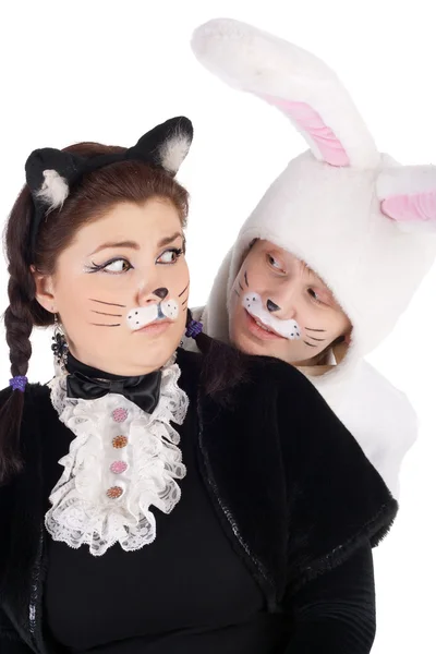 Bunny and cat — Stock Photo, Image
